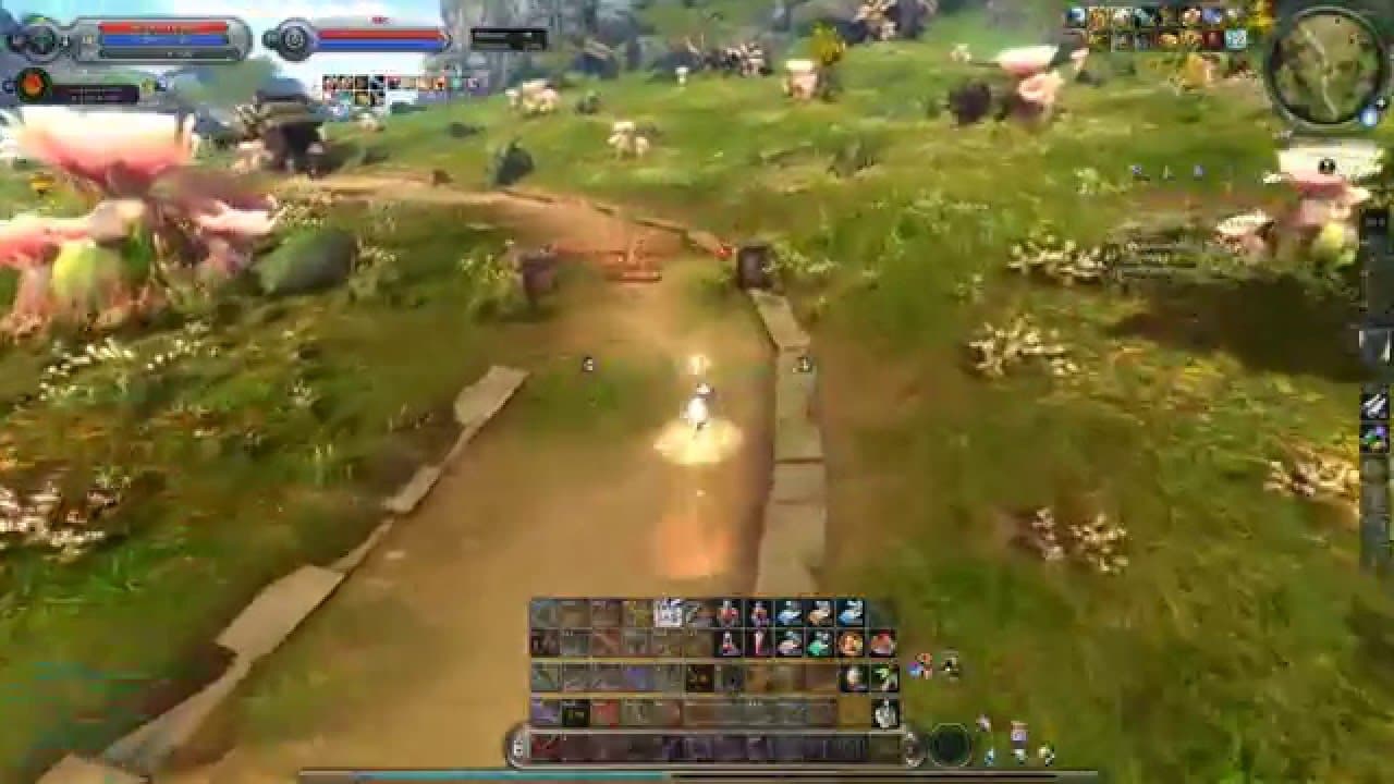 Ranger PvP